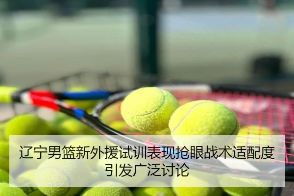 辽宁男篮新外援试训表现抢眼战术适配度引发广泛讨论